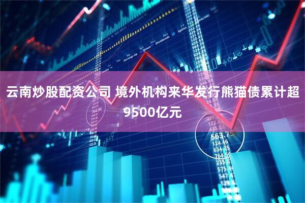 云南炒股配资公司 境外机构来华发行熊猫债累计超9500亿元